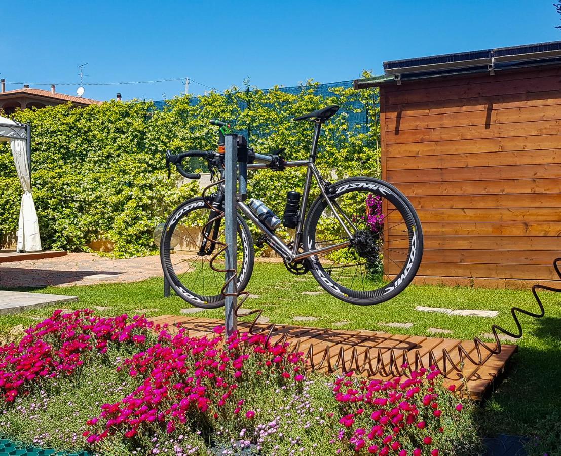 La Mimosa - Bike Friendly Home Rosignano Solvay Eksteriør billede